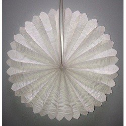 Диск Сплошной Белый