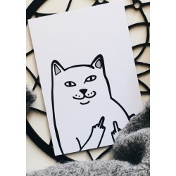 Открытка «Котик»