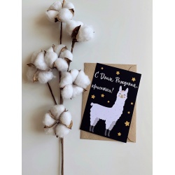 Открытка «С Днем Рождения, красотка!»