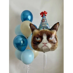 Композиция «Grumpy Cat»
