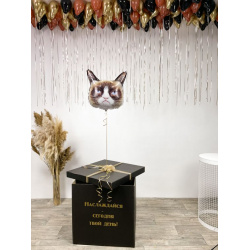 Коробка с шариками «Твой день»